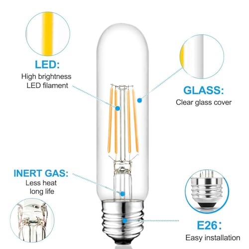 5 Inch Edison Bulb (6 Count)