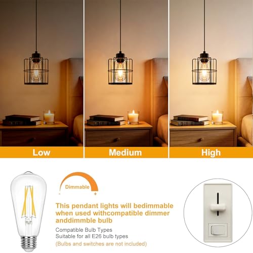 Industrial Black Pendant Lights Kitchen Island (2 Count)