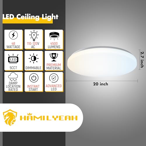 20 inch Ceiling Light Flush Mount 48W