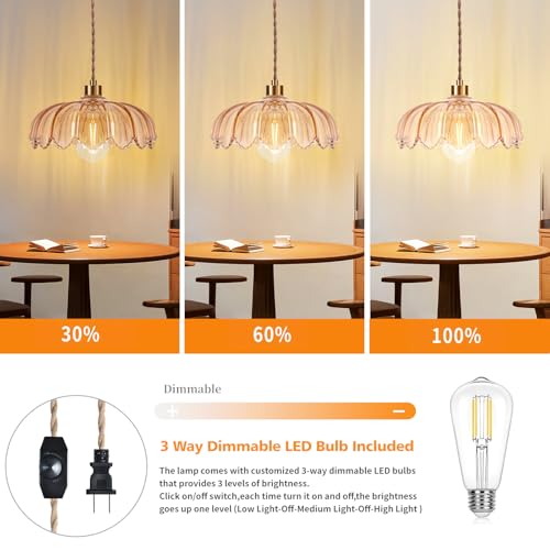 Plug in Pendant Light Hanging Lights with in Cord Mid Century Modern Gold Hanging Lamp Flower Glass Amber Vintage Dimmable Chandelier Ceiling Fixture for Living Room