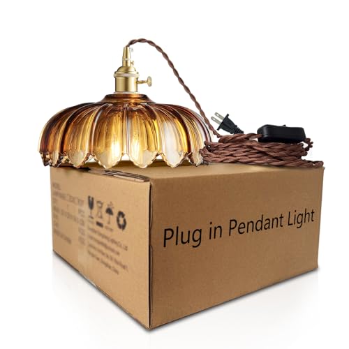 Plug in Pendant Light