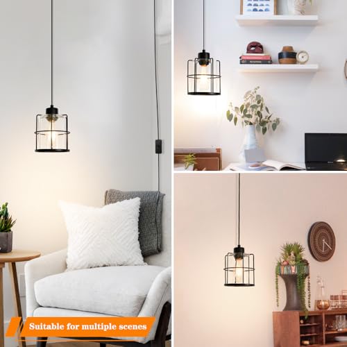 Black Plug In Pendant Light For Ceiling