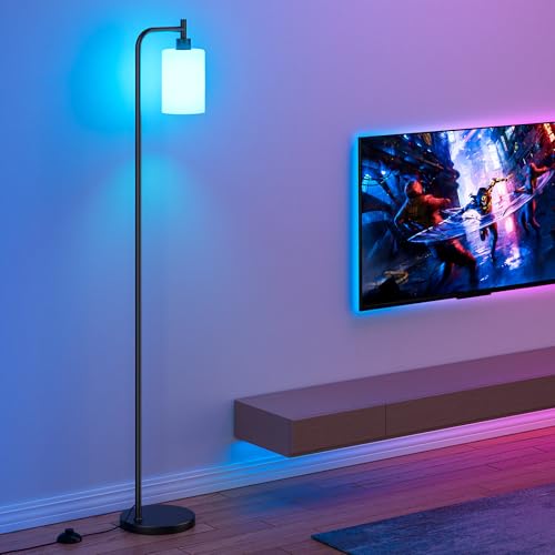 RGB Floor Lamps for Living Room