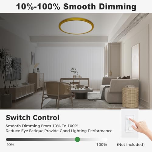 1Pack LED Flush Mount Ceiling Light