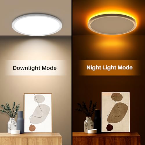 15 Inch LED Flush Mount Ceiling Light with Remote