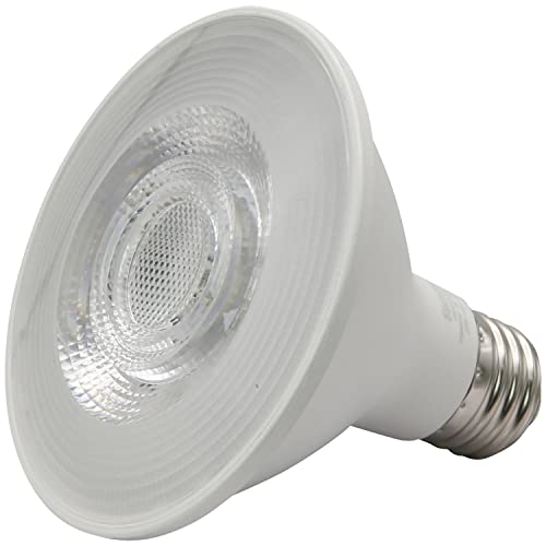 Reflector PAR30 LED Bulb (24 Count)