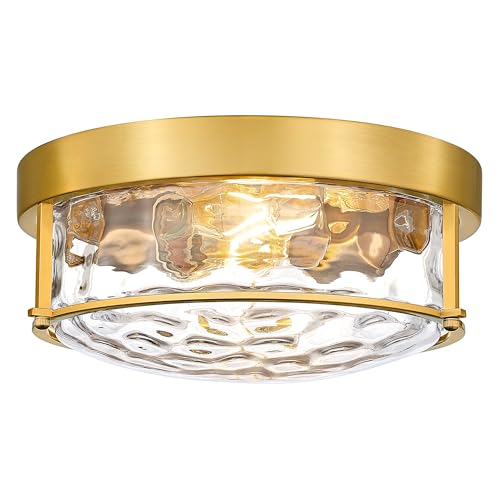 Modern Ceiling Light