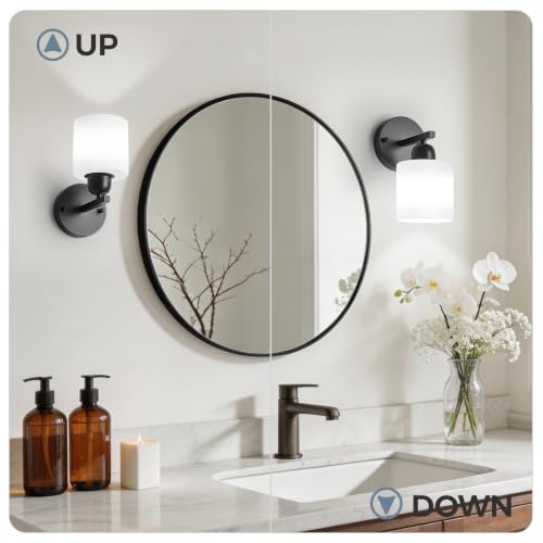 2PCS Light Black Bathroom Light Fixture