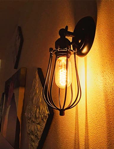Edison Bulbs Light Bulbs (6 Count)