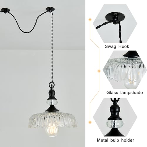 Plug in Glass Pendant Light Fixture Black Vintage Adjustable Chandelier Hanging Ceiling Light for Farmhouse Hallway Bedroom Foyer Kitcken Dining Room Island