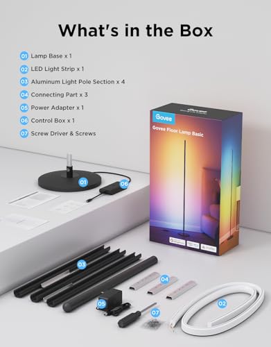 RGBIC Floor Lamp Basic