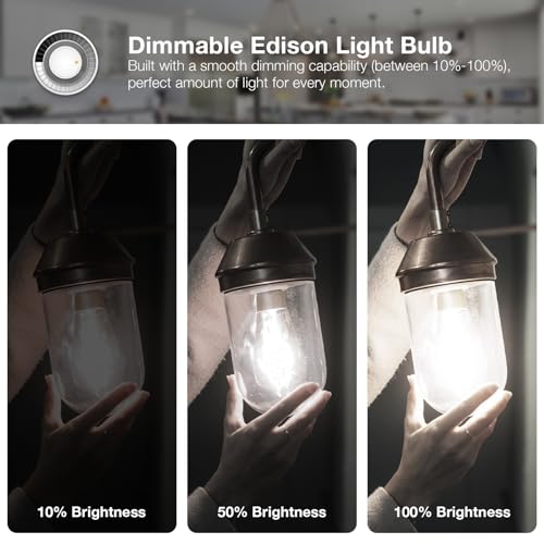 12 Pack Vintage LED Edison Bulbs (12 Count)