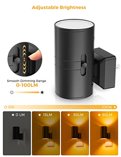 Night Light Amber Nightlight (2 Count)