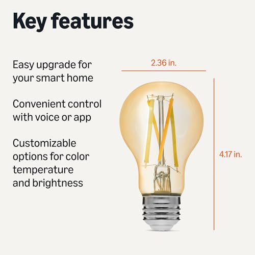 A19 Smart Filament LED Bulb (4 Count)