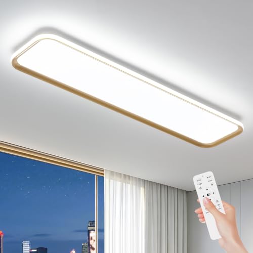 Modern LED Ceiling Light