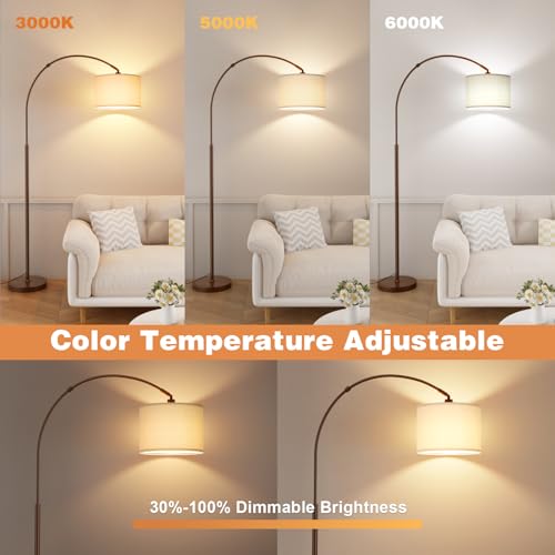 Dimmable Arc Floor Lamp with Remote