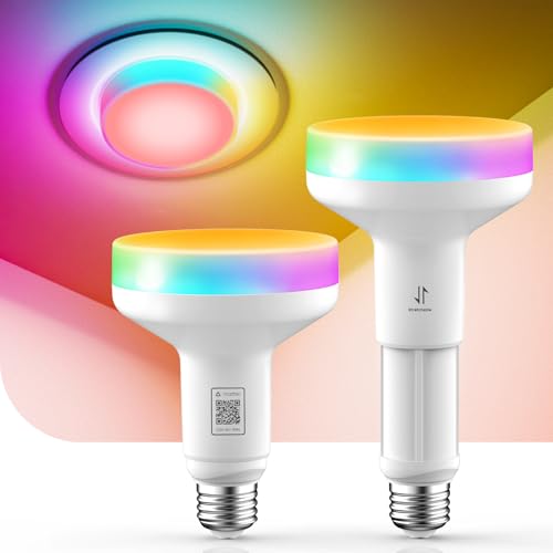 Matter BR30 Smart Light Bulbs (2 Count)