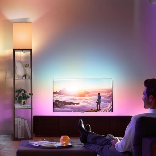 Floor Lamp with Shelves