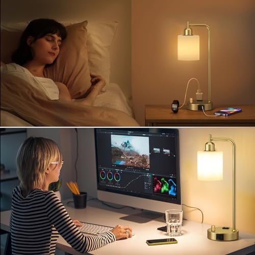 Industrial Table Lamps for Bedroom Set of 2 (2 Count)