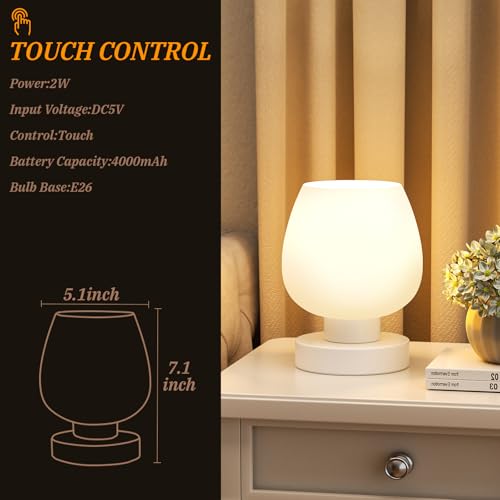 Cordless Touch Table Lamp for Nightstand