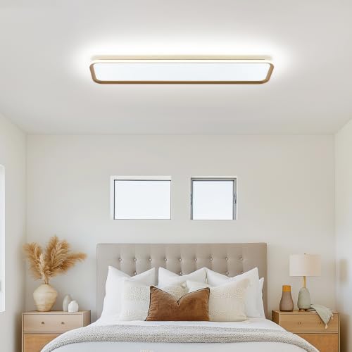 Modern LED Ceiling Light