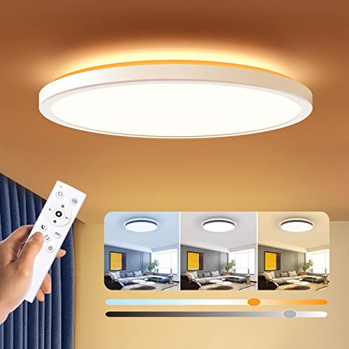 Dimmable LED Flush Mount Ceiling Light Fixture with Remote Control