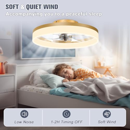 Low Profile Ceiling Fans with Lights and Remote
