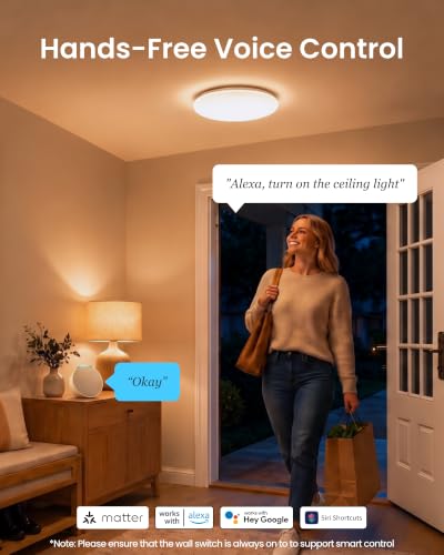 RGBICWW Ceiling Light 12 Inch 2 (12 Inch 2 Pack)