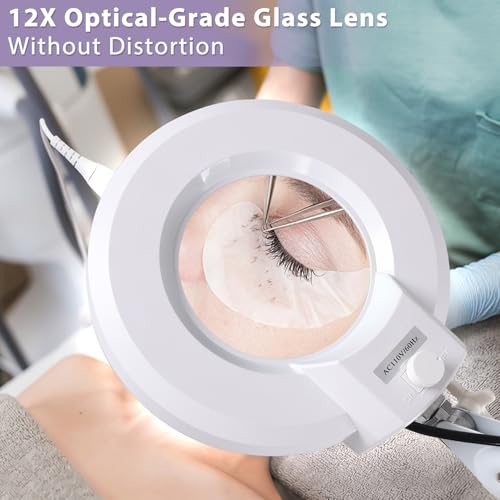 12X Magnifying Glass with Light and Stand