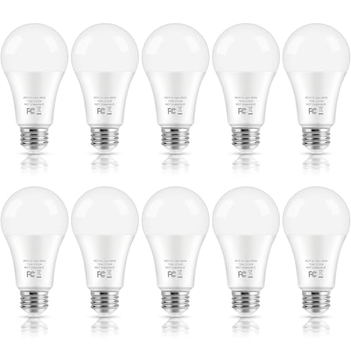 LED Light Bulbs (10 Count)