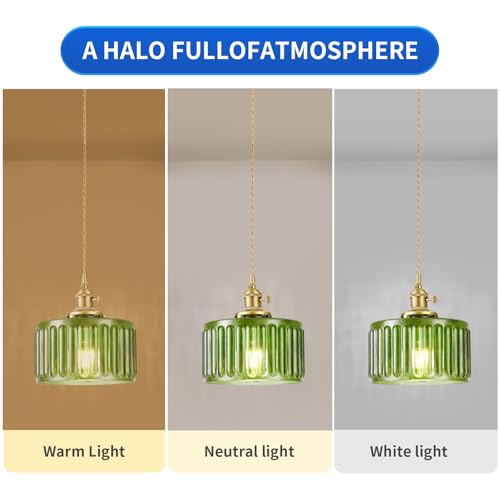 2 Pack Industrial Pendant Lighting (2 Count)