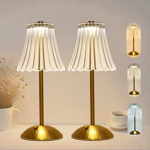 2 Pcs Cordless Rechargeable Table Lamp