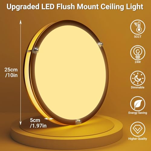 10Inch Flush Mount Ceiling Lights