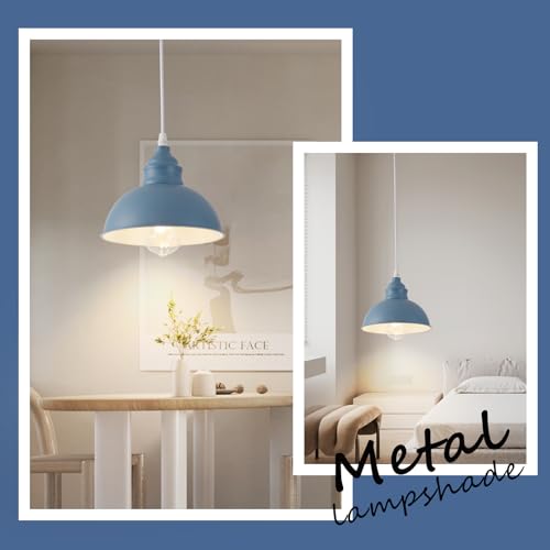 Plug in Pendant Light