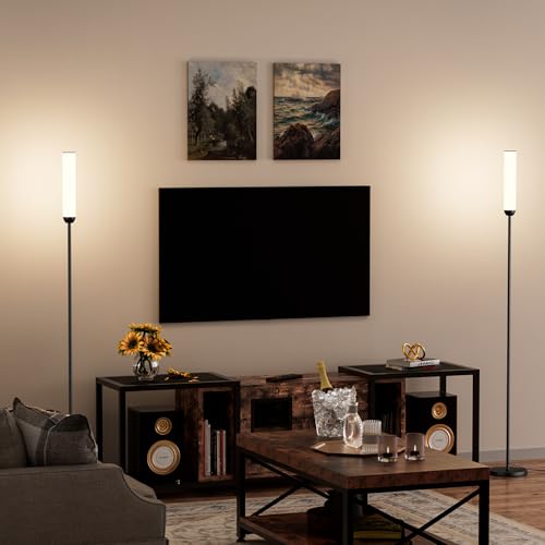 LED Floor Lamps with Remote Control Set of 2 (2 Count)