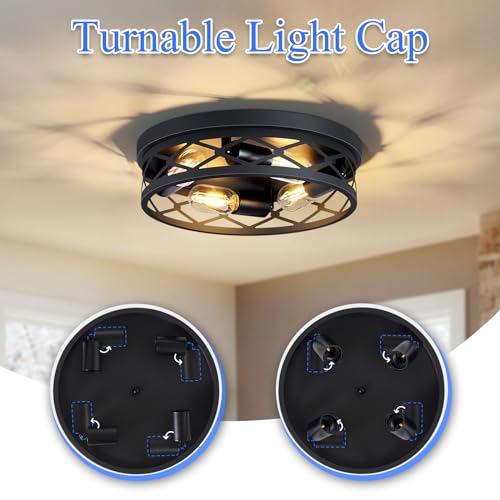 Flush Mount Ceiling Light Fixture (2 Count)