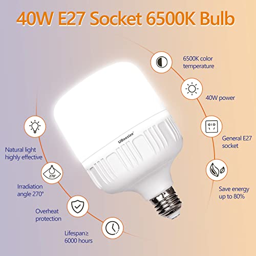 Softbox Lighting Kit