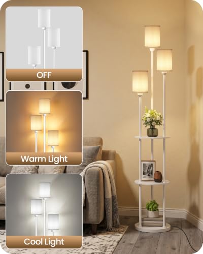Floor Lamp with Shelves