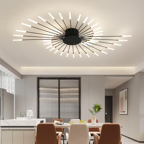 Modern Ceiling Light