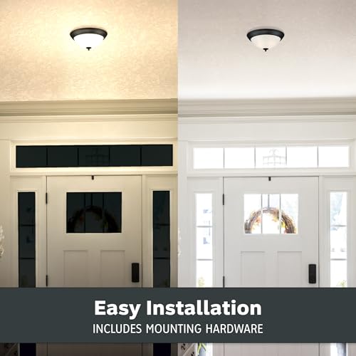 Flush Mount Ceiling Light (2 Count)