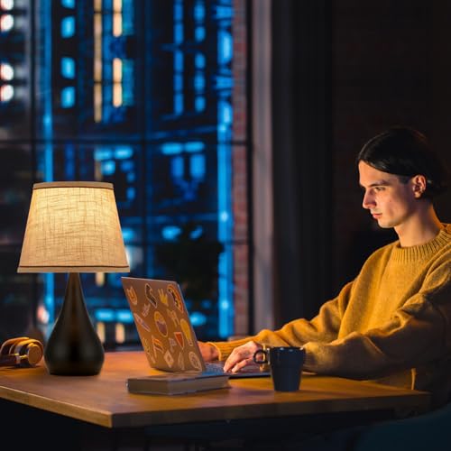 17.3'' Modern Touch Black Table Lamp Set of 2 with 3 Way Dimmable (2 Count)