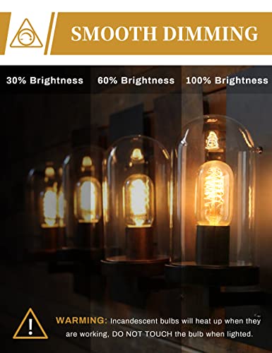 Edison Bulbs Light Bulbs (4 Count)