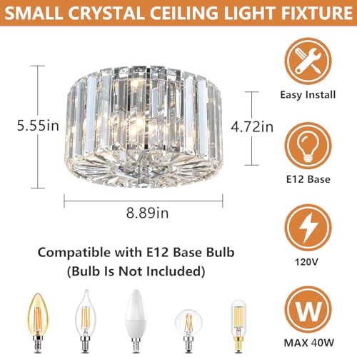 2 Light Chrome Crystal Ceiling Light