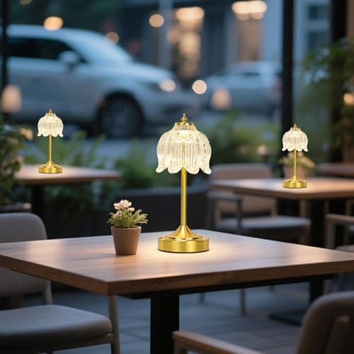 Cordless Table Lamp