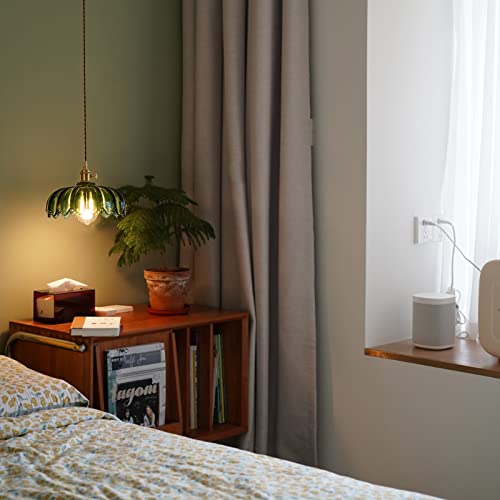 Plug in Pendant Light Fixtures