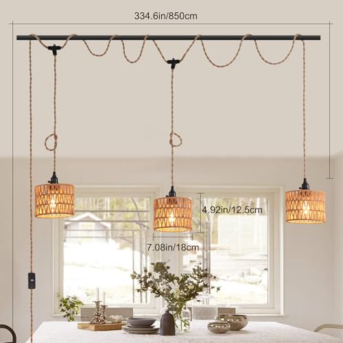3 Light Hanging Light with Plug in Cord