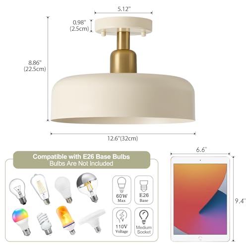 Semi Flush Mount Ceiling Light Fixture