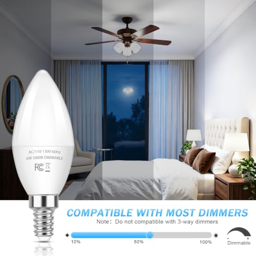 E12 LED Bulbs (12 Count)