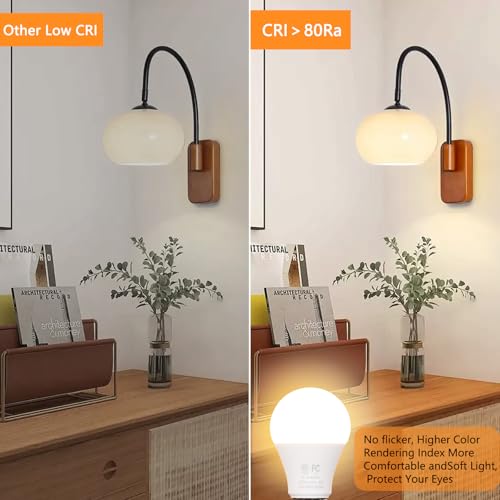 A19 LED Remote Control Bulbs