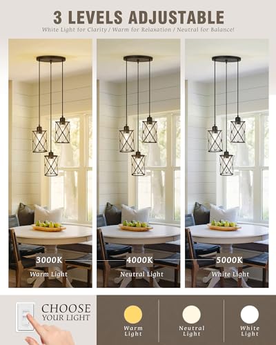 Black Dining Room Chandelier Light Fixtures